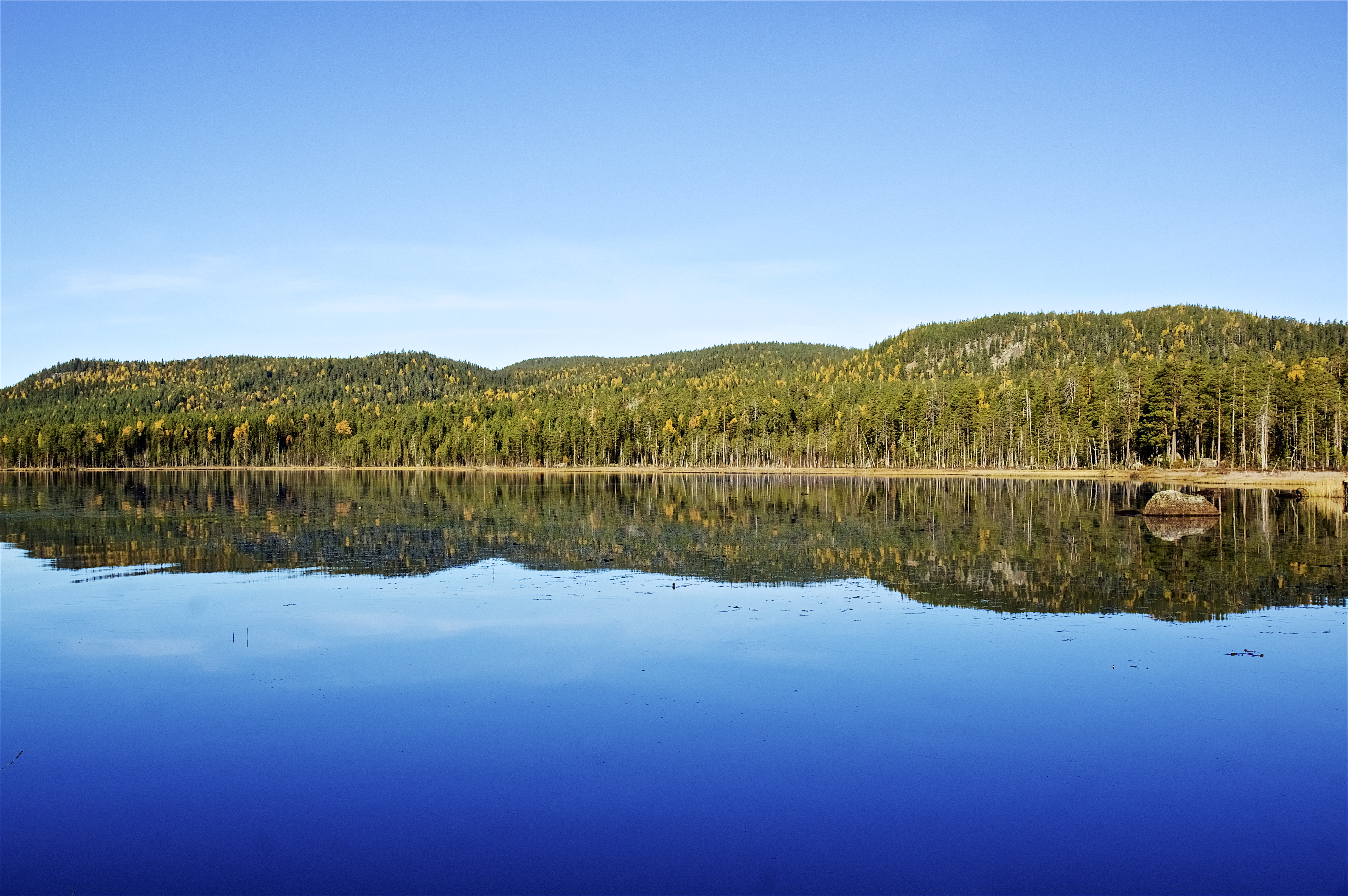 Vandring Björnlandets nationalpark 