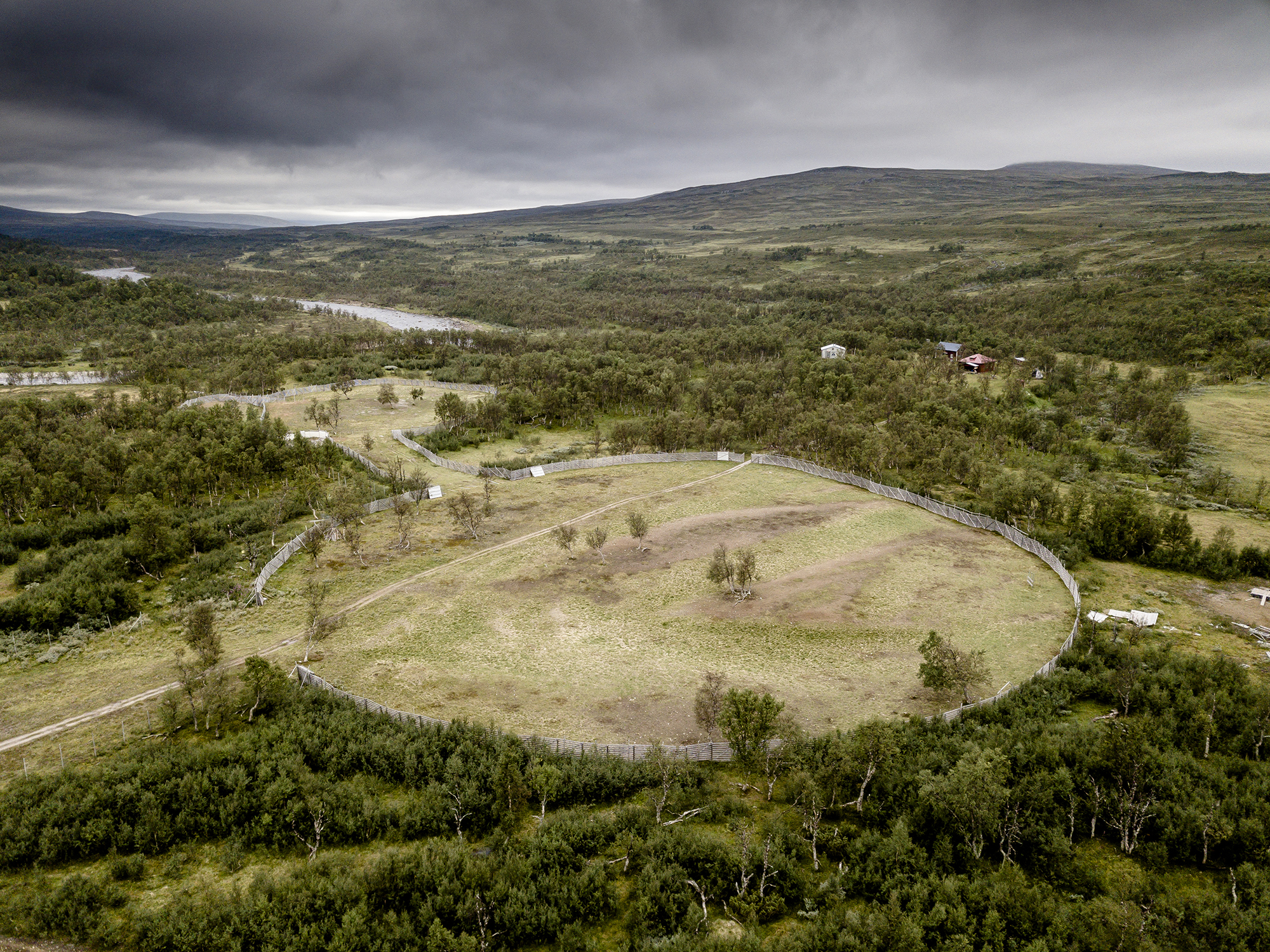Rennäring fjällturism